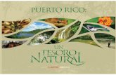 Un Tesoro Natural - MAPFRE PUERTO RICO