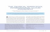 The Tropical Warm Pool International Cloud Experiment