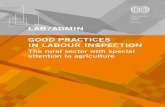 LAB / ADMIN GooD PrActIces IN LABour INsPectIoN - ILO