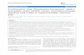 Confirmation that “Brachyspira hampsonii” clade I (Canadian strain 30599) causes mucohemorrhagic diarrhea and colitis in experimentally infected pigs