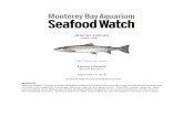 Atlantic salmon - Seafood Watch