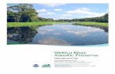 Wekiva River Aquatic Preserve Management Plan