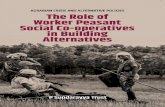 The Role of Worker Peasant Social Co-operatives in Building ...