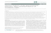 Genome anatomy of the gastrointestinal pathogen, Vibrio parahaemolyticus of crustacean origin