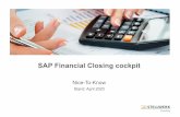 SAP Financial Closing cockpit - Add-on 2.0_STELLWERK Nice-To ...