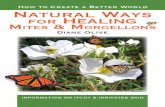 natural ways for healing - mites and morgellons - Orbis Vitae
