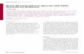 Blastic NK-Cell Lymphomas (Agranular CD4+CD56+ Hematodermic Neoplasms): A Review