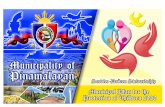 Municipality of Pinamalayan