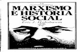 COLECCION FILOSOFICA MARXISMO E HISTORIA SOCIAL