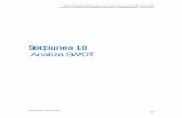 Secțiunea 10 Analiza SWOT - Consiliul Județean Bacău