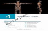 The Nervous System - Sage Publications