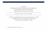 2019 Wayne Memorial Hospital Community Health Needs ...