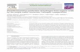 Photofermentative production of hydrogen from organic acids by the purple sulfur bacterium Thiocapsa roseopersicina