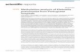 Methylation analysis of Klebsiella pneumoniae from ... - Nature