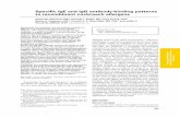 A prospective study of wheezing in young children: The independent effects of cockroach exposure, breast-feeding and allergic sensitization