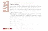 Guía de Auditoría para las Contralorías Territoriales Fase de ejecución de la auditoría Objetivo general