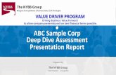 Deep Dive Assessment Presentation Report ABC Sample Corp