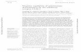 Negative regulation of autoimmune demyelination by the inhibitory receptor CLM-1