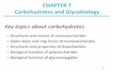 CHAPTER 7 Carbohydrates and Glycobiology
