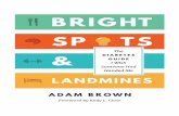Download Bright Spots & Landmines