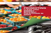 promoting - clean and energy efficient cold-chain in india