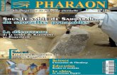Les chiens dans l'Egypte ancienne, Pharaon magazine n° 21/2015,p.31-34.