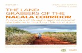 THE LAND GRABBERS OF THE NACALA CORRIDOR