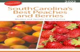 South Carolina's Best Peaches and Berries