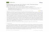 Antifungal Activity of Eclipta alba Metabolites against Sorghum ...