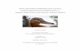 Male and female reproductive tactics in mallards (Anas ...