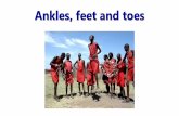Ankles, feet and toes - Ngin