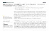 Microenvironmental Metabolites in the Intestine - MDPI