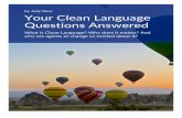Your Clean Language Questions Answered - Rees McCann