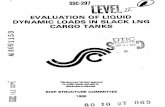 evaluation of liquid dynamic loads in slack lng cargo tanks