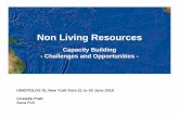 Non Living Resources