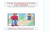 the formation of man - Montessori Teacher Education Center
