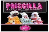 Priscilla Queen of the Desert - Connecticut Theatre Company