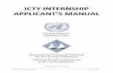 ICTY internship applicant's manual