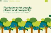 Plantations for people, planet and prosperity - assets.panda.org