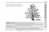 What Can We Learn from Old Trees? - National Park Service