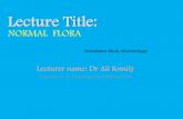 Lecture Title: - NORMAL FLORA - KSUMSC