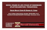 Novel Stages in the Life Cycles of Digeneans (Platyhelminthes: Trematoda)