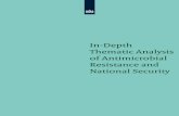 In-Depth Thematic Analysis of AMR and National Security
