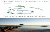 Health of the Te Awanui Tauranga harbour