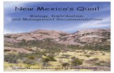 New Mexico·s Quail