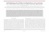Validation of a DNA methylation microarray for 450,000 CpG sites in the human genome