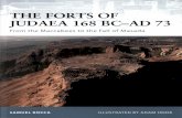 The Forts of Judaea 168 BC-AD 73 - Masada 3D
