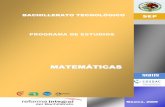 Matematicas programa