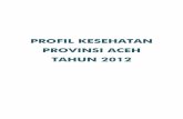 01 Profil Kes Prov Aceh 2012