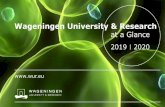 Wageningen University & Research - Study International